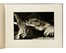 Wildt Adolfo : Le grandi giornate di Dio e dell'umanit�...  - Auction Books, Autographs and Manuscripts - Libreria Antiquaria Gonnelli - Casa d'Aste - Gonnelli Casa d'Aste