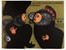  Autori vari : Lotto composto di 6 cartelle complete e 2 scomplete di incisioni.  Nino Caff�  (Alfedena, 1908 - Pesaro, 1975), Orfeo Tamburi  (Jesi, 1810 - Parigi, 1994), Sigfrido Bartolini  (Pistoia, 1932 - Firenze, 2007), Gaetano Pompa  (1998, 1933)  - Asta Arte Antica, Moderna e Contemporanea [parte II] - Libreria Antiquaria Gonnelli - Casa d'Aste - Gonnelli Casa d'Aste