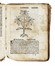  Arnaldo de Vilanova : Herbolario volgare nel quale de virtu delle herbe: & molti altri simplici se dechiarano... Botanica, Figurato, Scienze naturali, Collezionismo e Bibliografia  - Auction Books, Autographs and Manuscripts - Libreria Antiquaria Gonnelli - Casa d'Aste - Gonnelli Casa d'Aste