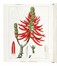  Mordant de Launay Jean Claude Mien : Herbier general de l'amateur, contenant la description, l'histoire, les proprietes et la culture des vegetaux utiles et agreable [...] Tome premier [-huiti�me]. Botanica, Figurato, Scienze naturali, Collezionismo e Bibliografia  Jean Louis Auguste Loiseleur-Deslongchamps, Pancrace Bessa  (Parigi, 1772 - �couen, 1846)  - Auction Books, Autographs and Manuscripts - Libreria Antiquaria Gonnelli - Casa d'Aste - Gonnelli Casa d'Aste