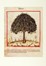  Autori vari : Lotto konvolut di 99 tra incisioni, disegni e portfolio.  Paolo Manaresi  (Bologna, 1908 - 1991), Domenico Purificato  (Fondi, 1915 - Roma, 1984), Pompilio Mandelli  (Luzzara, 1912 - Bologna, 2006), Giovanni Omiccioli  (Roma, 1901 - 1975), Francesco Messina  (Linguaglossa, 1900 - Milano, 1995), Orfeo Tamburi  (Jesi, 1810 - Parigi, 1994), Giovanni Romagnoli  (Faenza, 1893 - Bologna, 1976), Renzo Biasion  (Treviso, 1914 - Firenze, 1996), Ugo Attardi  (Sori, 1923 - Roma, 2006), Luigi Veronesi  (Milano, 1908 - 1998), Nino Caff�  (Alfedena, 1908 - Pesaro, 1975)  - Auction Arte Antica, Moderna e Contemporanea [parte II] - Libreria Antiquaria Gonnelli - Casa d'Aste - Gonnelli Casa d'Aste