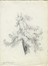  Angelo Torchi  (Massalombarda, 1856 - 1915) : Lotto composto di 35 disegni.  - Auction Arte Antica, Moderna e Contemporanea [parte II] - Libreria Antiquaria Gonnelli - Casa d'Aste - Gonnelli Casa d'Aste