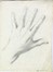  Angelo Torchi  (Massalombarda, 1856 - 1915) : Lotto composto di 35 disegni.  - Auction Arte Antica, Moderna e Contemporanea [parte II] - Libreria Antiquaria Gonnelli - Casa d'Aste - Gonnelli Casa d'Aste