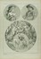  Alphonse Mucha  (Ivan?ice, 1860 - Praga, 1939) : Lotto composto di 3 incisioni da Figures D�coratives.  - Auction Arte Antica, Moderna e Contemporanea [parte II] - Libreria Antiquaria Gonnelli - Casa d'Aste - Gonnelli Casa d'Aste