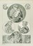  Alphonse Mucha  (Ivan?ice, 1860 - Praga, 1939) : Lotto composto di 3 incisioni da Figures D�coratives.  - Auction Arte Antica, Moderna e Contemporanea [parte II] - Libreria Antiquaria Gonnelli - Casa d'Aste - Gonnelli Casa d'Aste
