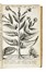  Neander Johann : Traict� du tabac, ou Nicotiane, panac�e, p�tun: Autrement herbe � la reyne, avec sa pr�paration & son usage, pour le plus part des indispositions du corps humain, ensemble les diverses fa�ons de le falsifier, & les marques pour le recognoistr&egrave; Medicina, Scienze naturali, Farmacologia, Medicina  - Auction Books, Autographs and Manuscripts - Libreria Antiquaria Gonnelli - Casa d'Aste - Gonnelli Casa d'Aste