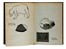  Munari Bruno : Nella notte buia. Illustrati per l'infanzia  - Auction Books, Autographs and Manuscripts - Libreria Antiquaria Gonnelli - Casa d'Aste - Gonnelli Casa d'Aste