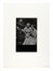  Mauri Fabio : Manipolazione di cultura. Fotografia, Storia  - Auction Books, Autographs and Manuscripts - Libreria Antiquaria Gonnelli - Casa d'Aste - Gonnelli Casa d'Aste
