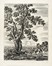  Incisione, Arte : Lotto konvolut di 118 incisioni e due disegni.  - Auction Arte Antica, Moderna e Contemporanea [parte I] - Libreria Antiquaria Gonnelli - Casa d'Aste - Gonnelli Casa d'Aste