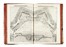  Scamozzi Vincenzo : Dell'idea della Architettura Universale [...] Parte Prima... Architettura, Figurato  - Auction Books, Autographs and Manuscripts - Libreria Antiquaria Gonnelli - Casa d'Aste - Gonnelli Casa d'Aste