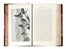  Tozer Henry Fanshawe : Turkish Armenia and Eastern Asia Minor. Storia  - Auction Books, Autographs and Manuscripts - Libreria Antiquaria Gonnelli - Casa d'Aste - Gonnelli Casa d'Aste