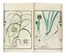  Nobuhiro Sato Nobuhiro Sato : Somoku Rokubu Koshuho (?Metodi di coltivazione in sei parti di piante e alberi?). Japonica, Botanica, Storia locale, Geografia e viaggi, Scienze naturali, Storia, Diritto e Politica  - Auction Books, Autographs and Manuscripts - Libreria Antiquaria Gonnelli - Casa d'Aste - Gonnelli Casa d'Aste