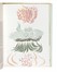  Dal� Salvador [e altri] : Nove numeri della celebre rivista XXe Si�cle.  Dorothea Tanning, Wifredo Lam  (Sagua la Grande, 1902 - Parigi, 1982), Renato Guttuso  (Bagheria, 1911 - Roma, 1987), Henry Moore  (Castleford, 1898 - Much Hadham, 1986), Vasilij Vasil'evic Kandinskij  (Mosca, 1866 - Neuilly-sur-Seine, 1944), Max Ernst  (Br�hl, 1891 - Parigi, 1976)  - Asta Libri, autografi e manoscritti - Libreria Antiquaria Gonnelli - Casa d'Aste - Gonnelli Casa d'Aste
