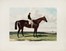  Charles Hunt  (1803 - 1877), Harry Hall  (Cambridge,  - Newmarket, 1882) : Nutwith / Cotherstone.  - Auction Arte Antica, Moderna e Contemporanea [parte I] - Libreria Antiquaria Gonnelli - Casa d'Aste - Gonnelli Casa d'Aste