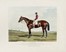  Charles Hunt  (1803 - 1877), Harry Hall  (Cambridge,  - Newmarket, 1882) : Nutwith / Cotherstone.  - Auction Arte Antica, Moderna e Contemporanea [parte I] - Libreria Antiquaria Gonnelli - Casa d'Aste - Gonnelli Casa d'Aste