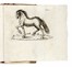  Br�z� Argentero (de) : Il dilettante de' cavalli... Equitazione, Figurato  - Auction Books, Autographs and Manuscripts - Libreria Antiquaria Gonnelli - Casa d'Aste - Gonnelli Casa d'Aste
