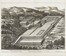  Johannes Blaeu  (Alkmaar, 1596 - Amsterdam, 1673), Pierre Mortier  (Leida,, 1661 - Amsterdam,, 1711) : Le Temple de la Fortune a Palestrine, Dans l'Etat de Eglise / Temple de la Fortune � Palestrine, le devant.  - Auction Old Masters, Modern and Contemporary Art - Libreria Antiquaria Gonnelli - Casa d'Aste - Gonnelli Casa d'Aste