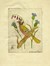  Raoul Dal Molin Ferenzona  (Firenze, 1879 - Milano, 1946) : Lotto composto di 4 incisioni.  - Auction Old Masters, Modern and Contemporary Art - Libreria Antiquaria Gonnelli - Casa d'Aste - Gonnelli Casa d'Aste
