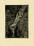  Michel Fingesten  (Buczkowitz, 1883 - Cerisano, 1943) : Lotto composto di 5 ex libris.  - Auction Old Masters, Modern and Contemporary Art - Libreria Antiquaria Gonnelli - Casa d'Aste - Gonnelli Casa d'Aste