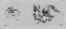  Stefano Della Bella  (Firenze, 1610 - 1664) : Recueil de quarante griffonnements et epreuves d'eau forte.  - Auction Prints and Drawings from XVI to XX century - Libreria Antiquaria Gonnelli - Casa d'Aste - Gonnelli Casa d'Aste
