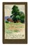  Hugo Scheyrer  (Wien, 1876 - 1965) : Lotto composto di 11 cartoline illustrate e 11 cartoline a stampa.  - Auction Old Masters, Modern and Contemporary Art - Libreria Antiquaria Gonnelli - Casa d'Aste - Gonnelli Casa d'Aste