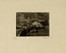  Mos� Bianchi  (Monza, 1840 - 1904) : Lotto composto di 3 incisioni.  Carlo Casanova  (Crema, 1871 - Quarna Sotto, 1950)  - Asta Arte Antica, Moderna e Contemporanea - Libreria Antiquaria Gonnelli - Casa d'Aste - Gonnelli Casa d'Aste