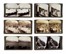  Geografia e viaggi : Raccolta di 76 fotografie stereoscopiche in b/n su cartoncino grigio con stampigliatura Works and Studios. Arlington, N.J. Littleton N.H., Washington, D.C. Underwood & Underwood, Publishers.  - Auction Books, Autographs and Manuscripts - Libreria Antiquaria Gonnelli - Casa d'Aste - Gonnelli Casa d'Aste