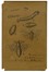 Autori vari : Lotto di quattro disegni.  - Asta Asta di beneficenza. Dalla collezione di Franco Lucini. - Libreria Antiquaria Gonnelli - Casa d'Aste - Gonnelli Casa d'Aste