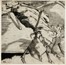  Autori vari : Lotto konvolut di 52 incisioni e disegni a tema simbolista.  Willi Geiger  (Sch�nbrunn, 1878 - M�nchen, 1971), Henry De Groux  (Bruxelles, 1866 - Marsiglia, 1930), Hans Thoma  (Bernau, 1839 - Karlsruhe, 1924), Franz Von Bayros (detto Choisy Le Conin)  (Agram, 1866 - Vienna, 1924), Oskar Laske  (Czernowitz, 1874 - Vienna, 1951), Louis Legrand  (Digione, 1863 - Livry-Gargan, Seine-et-Oise, 1951), Albert Welti  (Zurigo, 1862 - Berna, 1912)  - Asta Asta di beneficenza. Dalla collezione di Franco Lucini. - Libreria Antiquaria Gonnelli - Casa d'Aste - Gonnelli Casa d'Aste