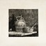  Autori vari : Lotto konvolut di 61 incisioni e disegni.  Henri (de) Toulouse-Lautrec  (Albi, 1864 - Malrom�, 1901), Hans Thoma  (Bernau, 1839 - Karlsruhe, 1924), Alberto Vitali  (Bergamo, 1898 - 1974), Emil Orlik  (Praga, 1870 - Berlino, 1932), Alberto Maso Gilli  (Chieri, 1840 - Calvi, 1894), Tullio Pericoli  (Colli del Tronto, 1936), Vincenzo Muscatello  (Pieve di Compito, 1941 - Lucca, 2014)  - Asta Asta di beneficenza. Dalla collezione di Franco Lucini. - Libreria Antiquaria Gonnelli - Casa d'Aste - Gonnelli Casa d'Aste