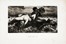  Autori vari : Lotto composto di 14 incisioni e disegni a tema simbolista.  Otto Greiner  (Lipsia, 1869 - Monaco di Baviera, 1916), Arnold B�cklin  (Basilea, 1827 - Fiesole, 1901), Ludwig Hofmann (von)  (Darmstadt, 1861 - Berlino, 1945), F�licien Rops  (Namur, 1833 - Essonnes, 1898), Umberto Prencipe  (Napoli, 1879 - Roma, 1962), Alfred Kubin  (Leitmeritz, 1877 - Zwickledt, 1959), Adolphe-L�on Willette  (Ch�lons sur Marne, 1857 - Parigi, 1926), Tony Johannot  - Asta Asta di beneficenza. Dalla collezione di Franco Lucini. - Libreria Antiquaria Gonnelli - Casa d'Aste - Gonnelli Casa d'Aste