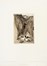  Autori vari : Lotto composto di 25 incisioni e disegni a tema animale.  Fabrizio Clerici  (Milano, 1913 - Roma, 1993), Moses Levy  (Tunisi, 1885 - Viareggio, 1968), Raoul Dal Molin Ferenzona  (Firenze, 1879 - Milano, 1946), Hans Thoma  (Bernau, 1839 - Karlsruhe, 1924), F�lix Bracquemond  (Parigi, 1833 - 1914), Oskar Laske  (Czernowitz, 1874 - Vienna, 1951)  - Asta Asta di beneficenza. Dalla collezione di Franco Lucini. - Libreria Antiquaria Gonnelli - Casa d'Aste - Gonnelli Casa d'Aste