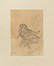  Autori vari : Lotto composto di 25 incisioni e disegni a tema animale.  Fabrizio Clerici  (Milano, 1913 - Roma, 1993), Moses Levy  (Tunisi, 1885 - Viareggio, 1968), Raoul Dal Molin Ferenzona  (Firenze, 1879 - Milano, 1946), Hans Thoma  (Bernau, 1839 - Karlsruhe, 1924), F�lix Bracquemond  (Parigi, 1833 - 1914), Oskar Laske  (Czernowitz, 1874 - Vienna, 1951)  - Asta Asta di beneficenza. Dalla collezione di Franco Lucini. - Libreria Antiquaria Gonnelli - Casa d'Aste - Gonnelli Casa d'Aste