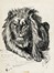  Autori vari : Lotto composto di 25 incisioni e disegni a tema animale.  Fabrizio Clerici  (Milano, 1913 - Roma, 1993), Moses Levy  (Tunisi, 1885 - Viareggio, 1968), Raoul Dal Molin Ferenzona  (Firenze, 1879 - Milano, 1946), Hans Thoma  (Bernau, 1839 - Karlsruhe, 1924), F�lix Bracquemond  (Parigi, 1833 - 1914), Oskar Laske  (Czernowitz, 1874 - Vienna, 1951)  - Asta Asta di beneficenza. Dalla collezione di Franco Lucini. - Libreria Antiquaria Gonnelli - Casa d'Aste - Gonnelli Casa d'Aste