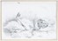  Autori vari : Lotto composto di 25 incisioni e disegni a tema animale.  Fabrizio Clerici  (Milano, 1913 - Roma, 1993), Moses Levy  (Tunisi, 1885 - Viareggio, 1968), Raoul Dal Molin Ferenzona  (Firenze, 1879 - Milano, 1946), Hans Thoma  (Bernau, 1839 - Karlsruhe, 1924), F�lix Bracquemond  (Parigi, 1833 - 1914), Oskar Laske  (Czernowitz, 1874 - Vienna, 1951)  - Asta Asta di beneficenza. Dalla collezione di Franco Lucini. - Libreria Antiquaria Gonnelli - Casa d'Aste - Gonnelli Casa d'Aste