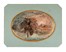  Autori vari : Lotto konvolut di 62 disegni.  Paul Gavarni  (Parigi, 1804 - 1866), Gaetano Previati  (Ferrara, 1852 - Lavagna, 1920)  - Asta Asta di beneficenza. Dalla collezione di Franco Lucini. - Libreria Antiquaria Gonnelli - Casa d'Aste - Gonnelli Casa d'Aste
