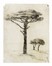  Autori vari : Lotto konvolut di 19 stampe e disegni a tema paesaggistico.  Charles Meryon  (Parigi, 1821 - Saint Maurice, 1868), Pierre Guastalla  (1891 - 1968), James Whistler Abbott McNeill  (Lowell, 1834 - Londra, 1903)  - Asta Asta di beneficenza. Dalla collezione di Franco Lucini. - Libreria Antiquaria Gonnelli - Casa d'Aste - Gonnelli Casa d'Aste