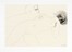  Emilio Greco  (Catania, 1913 - Roma, 1995) : Memoria di Catullo.  Giacinto Spagnoletti  (Taranto, 1920 - Roma, 2003)  - Auction Old Masters, Modern and Contemporary Art - Libreria Antiquaria Gonnelli - Casa d'Aste - Gonnelli Casa d'Aste