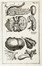  Morgagni Giovanni Battista : Epistolarum anatomicarum [...] Pars Altera. Medicina  - Auction Libri, Autografi e Manoscritti - Libreria Antiquaria Gonnelli - Casa d'Aste - Gonnelli Casa d'Aste