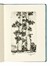  Bartolini Sigfrido : 20 ottave d'amore inedite. [...] Scelte e illustrate da Sigfrido Bartolini in occasione delle nozze della figlia Simonetta con Alberto Bianchi. Libro d'Artista, Collezionismo e Bibliografia  - Auction Libri, Autografi e Manoscritti - Libreria Antiquaria Gonnelli - Casa d'Aste - Gonnelli Casa d'Aste