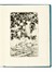  Bartolini Sigfrido : 20 ottave d'amore inedite. [...] Scelte e illustrate da Sigfrido Bartolini in occasione delle nozze della figlia Simonetta con Alberto Bianchi. Libro d'Artista, Collezionismo e Bibliografia  - Auction Libri, Autografi e Manoscritti - Libreria Antiquaria Gonnelli - Casa d'Aste - Gonnelli Casa d'Aste