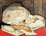  Capatti Alberto : Il tappeto rosso, con dodici tavole di un Maestro del Novecento. Erotica, Libro d'Artista, Figurato, Letteratura, Collezionismo e Bibliografia, Collezionismo e Bibliografia  Marcello Dudovich  (Trieste, 1878 - Milano, 1962)  - Auction Libri, Autografi e Manoscritti - Libreria Antiquaria Gonnelli - Casa d'Aste - Gonnelli Casa d'Aste