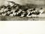  Storia, Storia, Diritto e Politica : Raccolta di fotografie della Seconda guerra Mondiale.  - Auction Books, Autographs and Manuscripts - Libreria Antiquaria Gonnelli - Casa d'Aste - Gonnelli Casa d'Aste