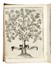  Vizani dal Montone Angelo : Trattato dello schermo d'Angelo Vizani... Scherma  - Auction Books, Autographs and Manuscripts - Libreria Antiquaria Gonnelli - Casa d'Aste - Gonnelli Casa d'Aste