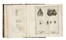  Tannoja Antonio Maria : Delle api e loro utile e della maniera di ben governarle...  - Asta Libri, Autografi e Manoscritti - Libreria Antiquaria Gonnelli - Casa d'Aste - Gonnelli Casa d'Aste