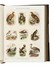 The Practical and Devotional Family Bible. The Holy Bible Containing The Old and New Testaments According To The Authorized Version... Commentaries of Henry and Scott... Bibbia  - Auction Books, Autographs and Manuscripts - Libreria Antiquaria Gonnelli - Casa d'Aste - Gonnelli Casa d'Aste