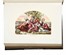 The Practical and Devotional Family Bible. The Holy Bible Containing The Old and New Testaments According To The Authorized Version... Commentaries of Henry and Scott... Bibbia  - Auction Books, Autographs and Manuscripts - Libreria Antiquaria Gonnelli - Casa d'Aste - Gonnelli Casa d'Aste