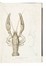  D�midoff Anatole : Voyage dans la Russie Meridionale et la Crim�e par la Hongrie la Valachie et la Moldavie... Geografia e viaggi  Denis-Auguste-Marie Raffet  (Parigi,, 1804 - Genova,, 1860)  - Auction Books, Autographs and Manuscripts - Libreria Antiquaria Gonnelli - Casa d'Aste - Gonnelli Casa d'Aste