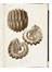  D�midoff Anatole : Voyage dans la Russie Meridionale et la Crim�e par la Hongrie la Valachie et la Moldavie... Geografia e viaggi  Denis-Auguste-Marie Raffet  (Parigi,, 1804 - Genova,, 1860)  - Auction Books, Autographs and Manuscripts - Libreria Antiquaria Gonnelli - Casa d'Aste - Gonnelli Casa d'Aste