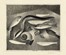  Autori vari : Lotto composto di 4 incisioni.  Armando Donna  (Vercelli, 1913 - 1994), Xavier De Maistre  (1949, ), Walter Piacesi  (Ascoli Piceno, 1929)  - Asta Arte Antica, Moderna e Contemporanea - Libreria Antiquaria Gonnelli - Casa d'Aste - Gonnelli Casa d'Aste